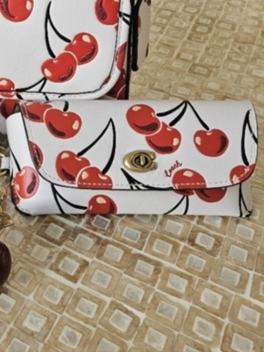 Coach Cherry Sunglass Case
